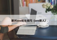 新兴seo优化技巧（seo新人）