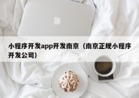 小程序开发app开发南京（南京正规小程序开发公司）