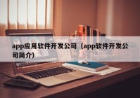 app应用软件开发公司（app软件开发公司简介）