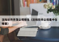 沈阳软件开发公司排名（沈阳软件公司集中在哪里）