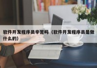 软件开发程序员辛苦吗（软件开发程序员是做什么的）