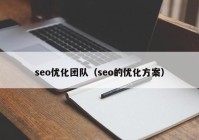 seo优化团队（seo的优化方案）