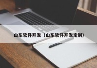 山东软件开发（山东软件开发定制）