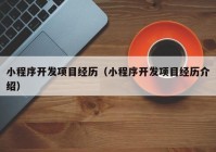小程序开发项目经历（小程序开发项目经历介绍）